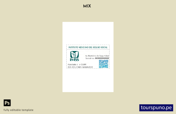 Plantilla de tarjeta NSS de México lista para imprimir